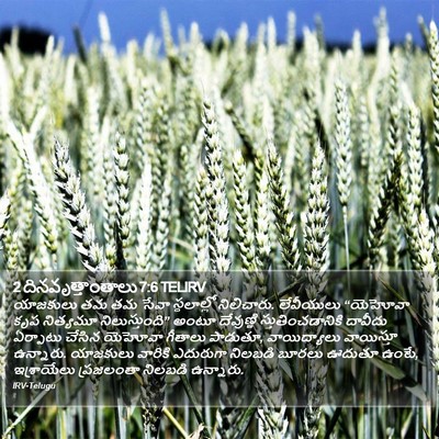2 దినవృత్తాంతాలు 7:6 TELIRV Bible Verse Image