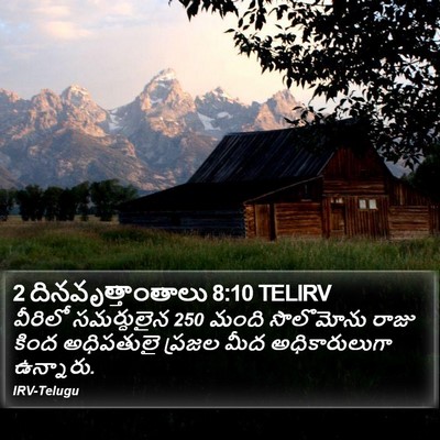 2 దినవృత్తాంతాలు 8:10 TELIRV Bible Verse Image