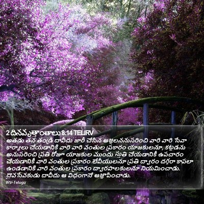 2 దినవృత్తాంతాలు 8:14 TELIRV Bible Verse Image
