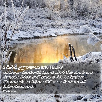 2 దినవృత్తాంతాలు 8:16 TELIRV Bible Verse Image