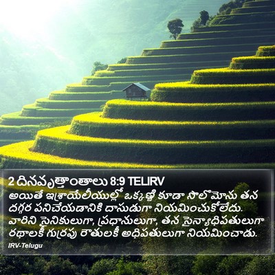 2 దినవృత్తాంతాలు 8:9 TELIRV Bible Verse Image
