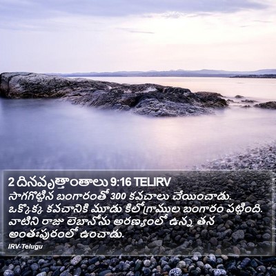 2 దినవృత్తాంతాలు 9:16 TELIRV Bible Verse Image