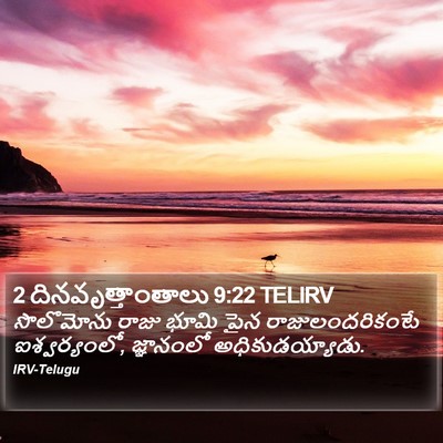 2 దినవృత్తాంతాలు 9:22 TELIRV Bible Verse Image