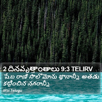 2 దినవృత్తాంతాలు 9:3 TELIRV Bible Verse Image