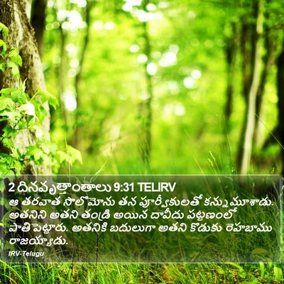 2 దినవృత్తాంతాలు 9:31 TELIRV Bible Verse Image