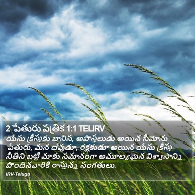 2 పేతురు పత్రిక 1:1 TELIRV Bible Verse Image