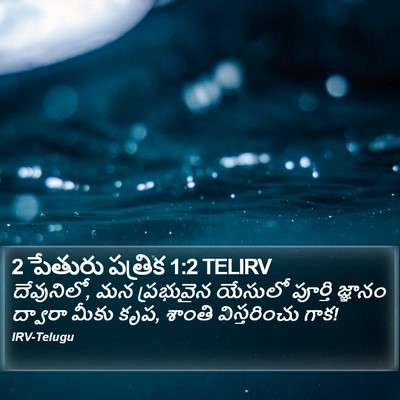 2 పేతురు పత్రిక 1:2 TELIRV Bible Verse Image