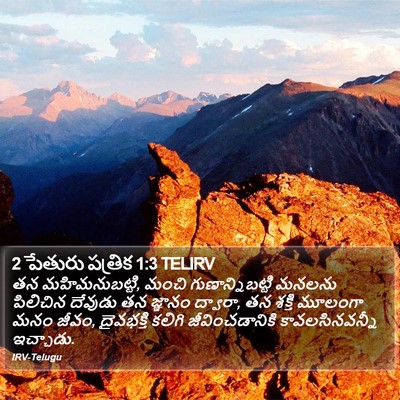 2 పేతురు పత్రిక 1:3 TELIRV Bible Verse Image