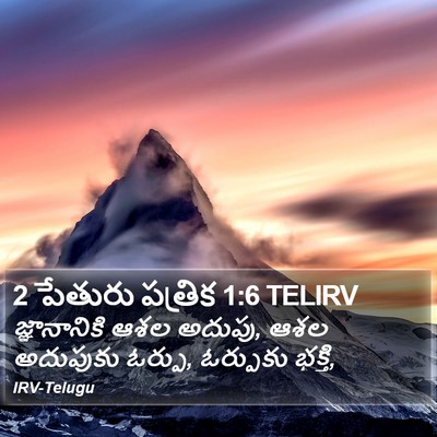 2 పేతురు పత్రిక 1:6 TELIRV Bible Verse Image