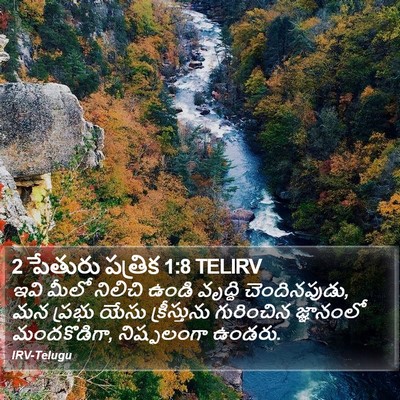 2 పేతురు పత్రిక 1:8 TELIRV Bible Verse Image