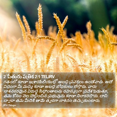 2 పేతురు పత్రిక 2:1 TELIRV Bible Verse Image
