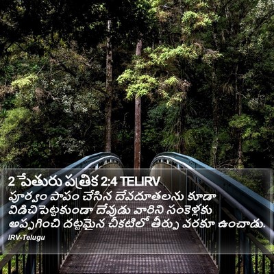 2 పేతురు పత్రిక 2:4 TELIRV Bible Verse Image