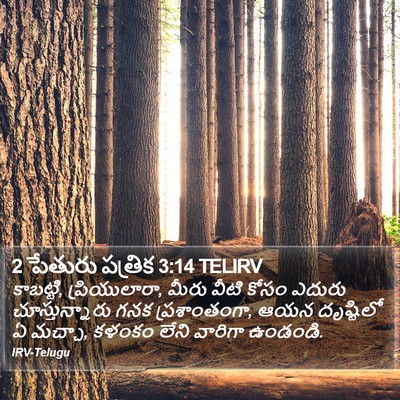 2 పేతురు పత్రిక 3:14 TELIRV Bible Verse Image