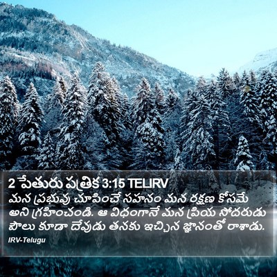 2 పేతురు పత్రిక 3:15 TELIRV Bible Verse Image
