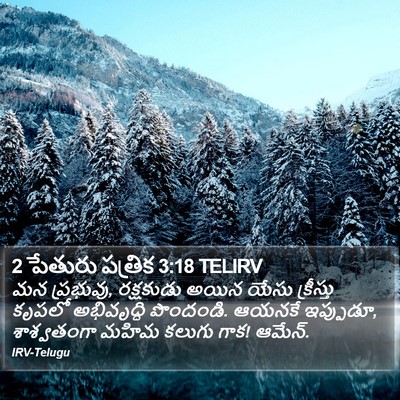 2 పేతురు పత్రిక 3:18 TELIRV Bible Verse Image