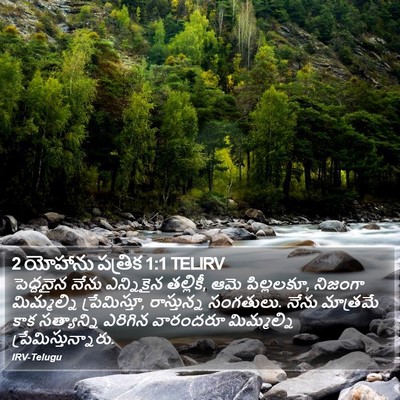 2 యోహాను పత్రిక 1:1 TELIRV Bible Verse Image