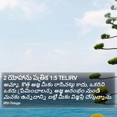 2 యోహాను పత్రిక 1:5 TELIRV Bible Verse Image