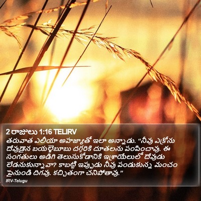 2 రాజులు 1:16 TELIRV Bible Verse Image