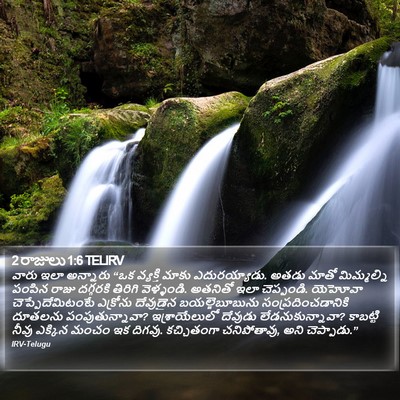 2 రాజులు 1:6 TELIRV Bible Verse Image