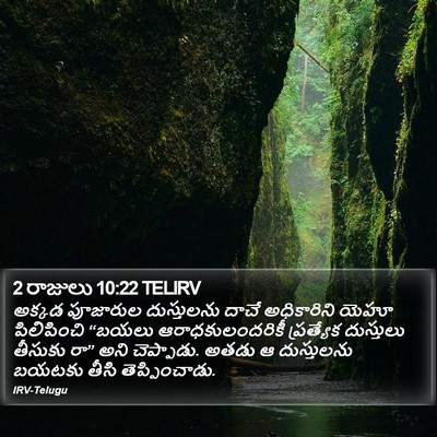 2 రాజులు 10:22 TELIRV Bible Verse Image