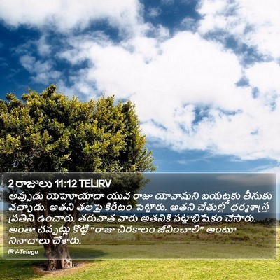 2 రాజులు 11:12 TELIRV Bible Verse Image