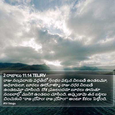 2 రాజులు 11:14 TELIRV Bible Verse Image