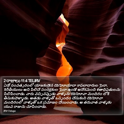 2 రాజులు 11:4 TELIRV Bible Verse Image