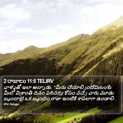 2 రాజులు 11:5 TELIRV Bible Verse Image