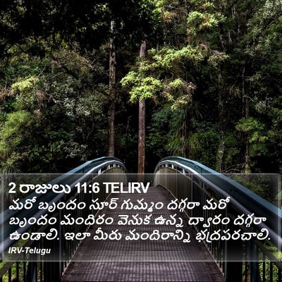 2 రాజులు 11:6 TELIRV Bible Verse Image