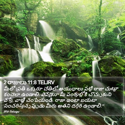 2 రాజులు 11:8 TELIRV Bible Verse Image