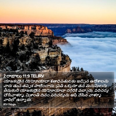 2 రాజులు 11:9 TELIRV Bible Verse Image