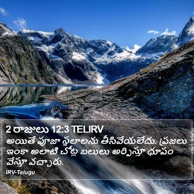 2 రాజులు 12:3 TELIRV Bible Verse Image