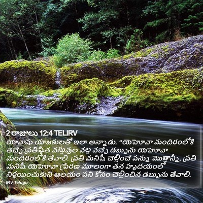 2 రాజులు 12:4 TELIRV Bible Verse Image