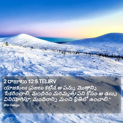 2 రాజులు 12:5 TELIRV Bible Verse Image
