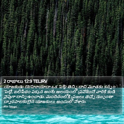 2 రాజులు 12:9 TELIRV Bible Verse Image