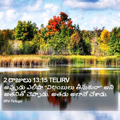 2 రాజులు 13:15 TELIRV Bible Verse Image