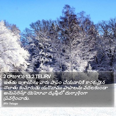 2 రాజులు 13:2 TELIRV Bible Verse Image