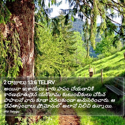 2 రాజులు 13:6 TELIRV Bible Verse Image