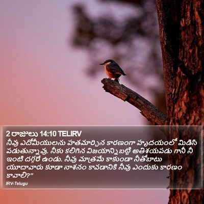 2 రాజులు 14:10 TELIRV Bible Verse Image