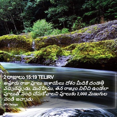 2 రాజులు 15:19 TELIRV Bible Verse Image