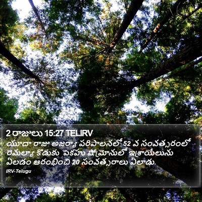 2 రాజులు 15:27 TELIRV Bible Verse Image
