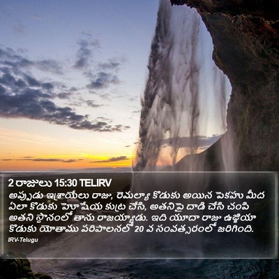 2 రాజులు 15:30 TELIRV Bible Verse Image