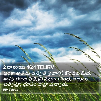 2 రాజులు 16:4 TELIRV Bible Verse Image