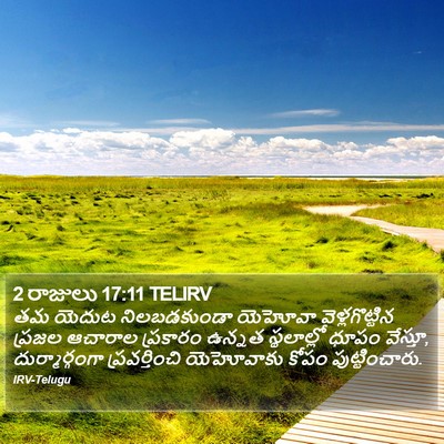 2 రాజులు 17:11 TELIRV Bible Verse Image