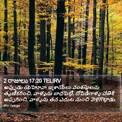 2 రాజులు 17:20 TELIRV Bible Verse Image