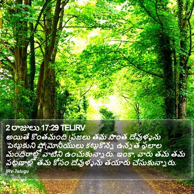 2 రాజులు 17:29 TELIRV Bible Verse Image