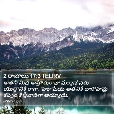2 రాజులు 17:3 TELIRV Bible Verse Image