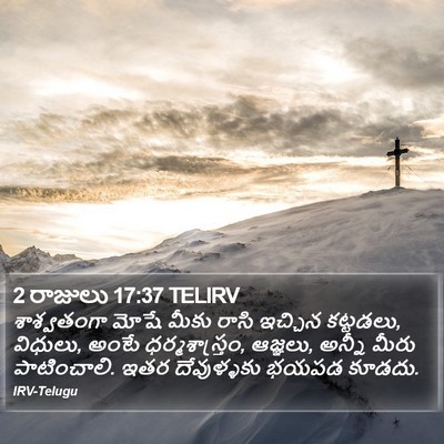 2 రాజులు 17:37 TELIRV Bible Verse Image