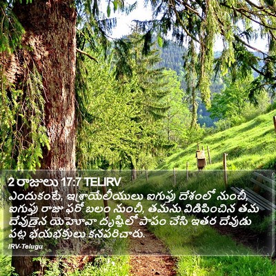 2 రాజులు 17:7 TELIRV Bible Verse Image