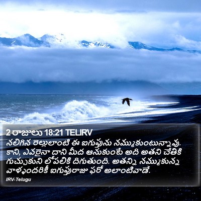 2 రాజులు 18:21 TELIRV Bible Verse Image